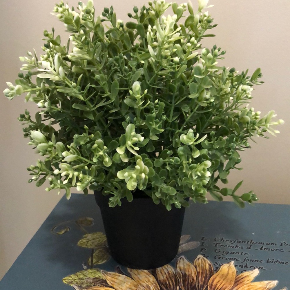 Vibrant Green Faux Floral Accent in Black Pot